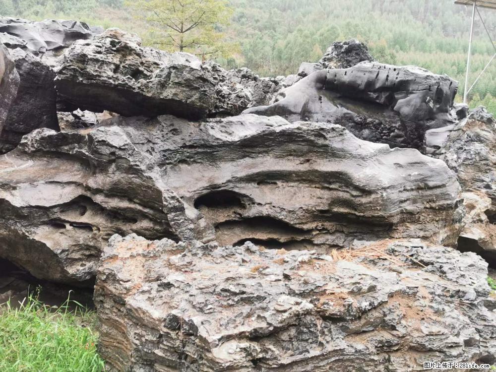 风景石、假山石大量有货，有需要的欢迎联系 - 新手上路 - 西安生活社区 - 西安28生活网 xa.28life.net
