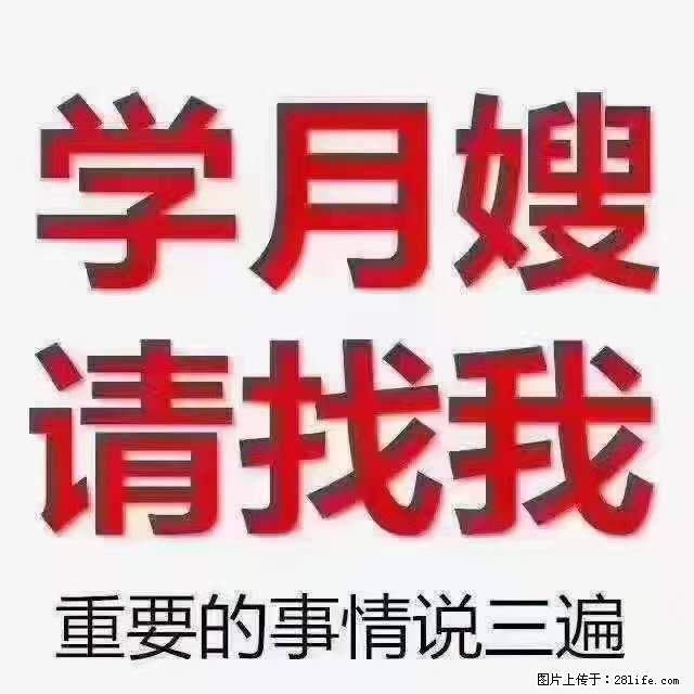 为什么要学习月嫂，育婴师？ - 其他广告 - 广告专区 - 西安分类信息 - 西安28生活网 xa.28life.net