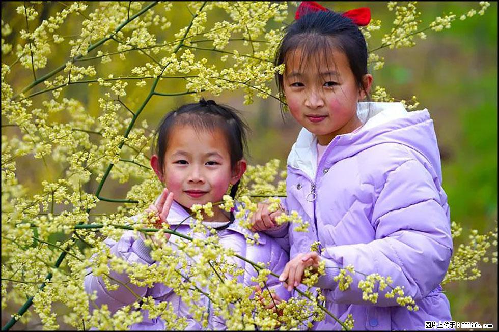 【春天，广西桂林灌阳县向您发出邀请！】米珠山前有片山苍子花在飘香 - 游山玩水 - 西安生活社区 - 西安28生活网 xa.28life.net