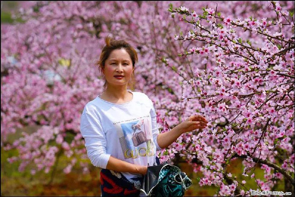 【春天，广西桂林灌阳县向您发出邀请！】官庄村有个醉美的桃花园 - 游山玩水 - 西安生活社区 - 西安28生活网 xa.28life.net