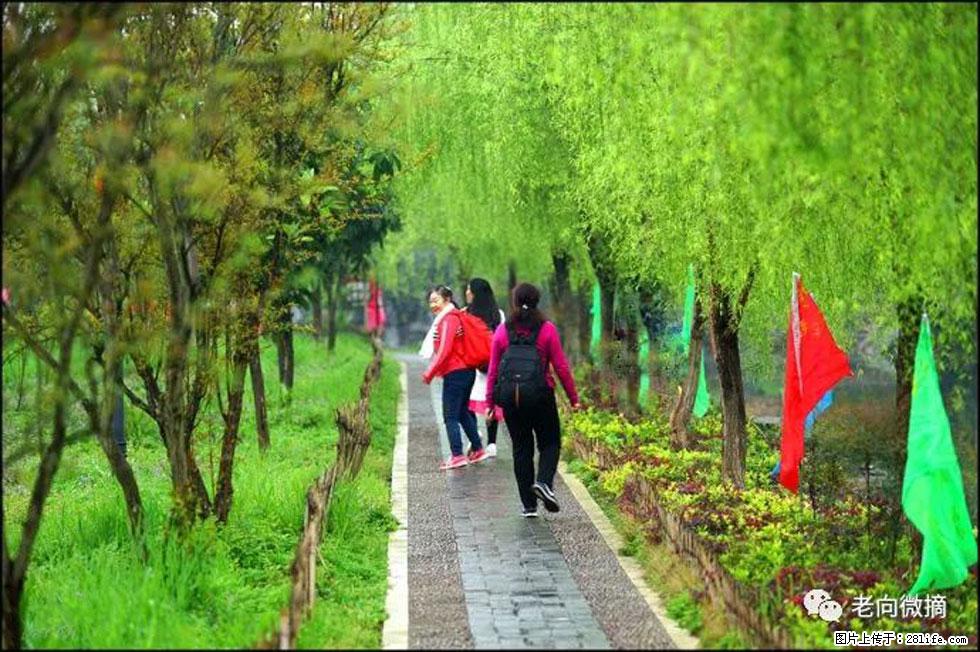 【春天，广西桂林灌阳县向您发出邀请！】江口老街又逢春 - 游山玩水 - 西安生活社区 - 西安28生活网 xa.28life.net