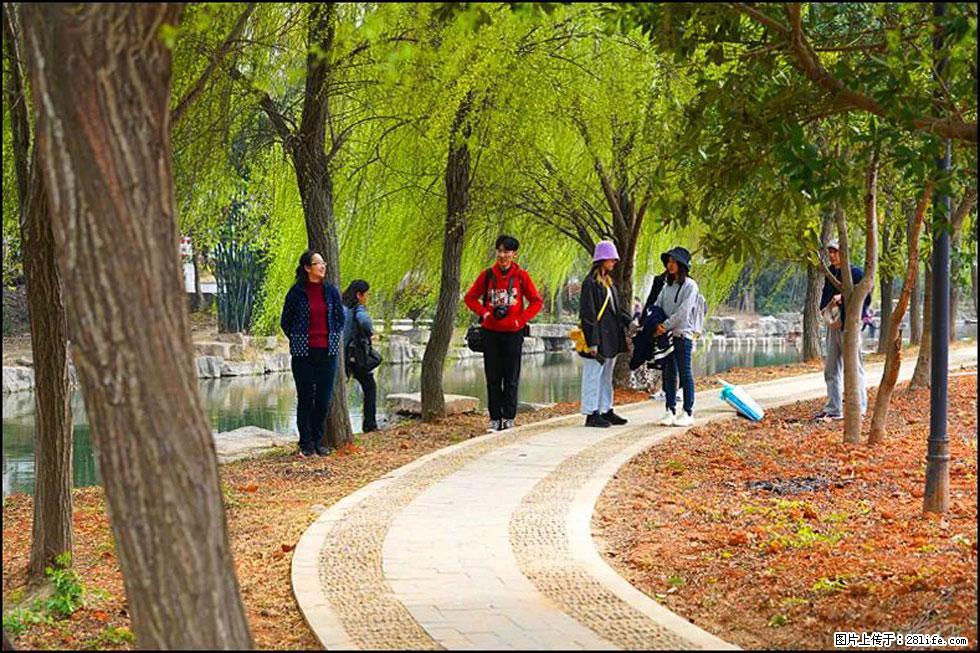 【春天，广西桂林灌阳县向您发出邀请！】江口老街又逢春 - 游山玩水 - 西安生活社区 - 西安28生活网 xa.28life.net