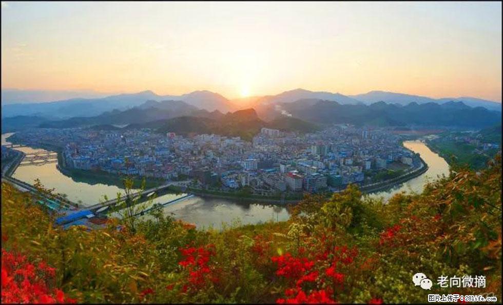 【春天，广西桂林灌阳县向您发出邀请！】登麒麟山，相约映山红 - 游山玩水 - 西安生活社区 - 西安28生活网 xa.28life.net