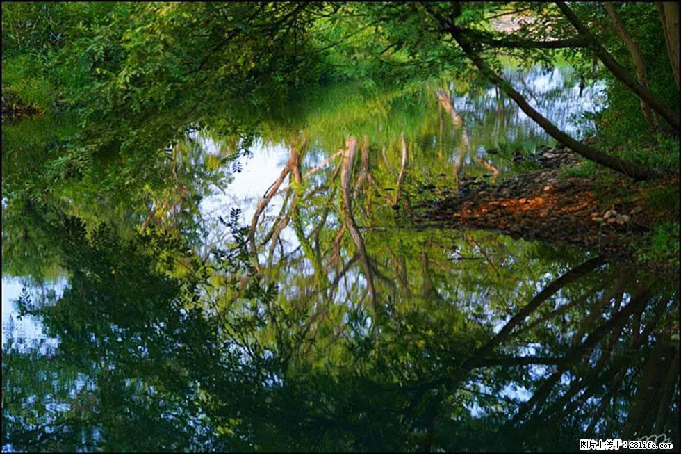 【春天，广西桂林灌阳县向您发出邀请！】熊家寨湿地公园 - 游山玩水 - 西安生活社区 - 西安28生活网 xa.28life.net
