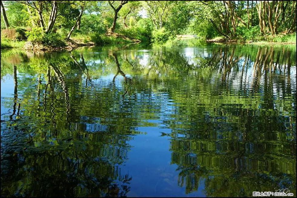 【春天，广西桂林灌阳县向您发出邀请！】熊家寨湿地公园 - 游山玩水 - 西安生活社区 - 西安28生活网 xa.28life.net
