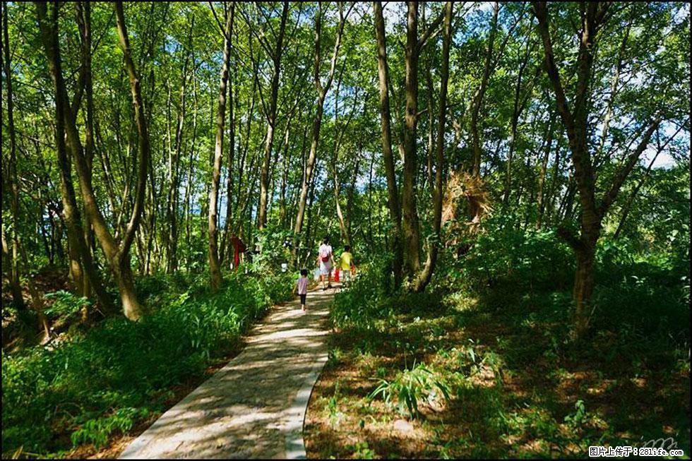 【春天，广西桂林灌阳县向您发出邀请！】熊家寨湿地公园 - 游山玩水 - 西安生活社区 - 西安28生活网 xa.28life.net