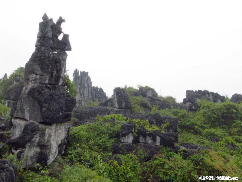桂林旅游名城景点：灌阳文市石林 - 游山玩水 - 西安生活社区 - 西安28生活网 xa.28life.net