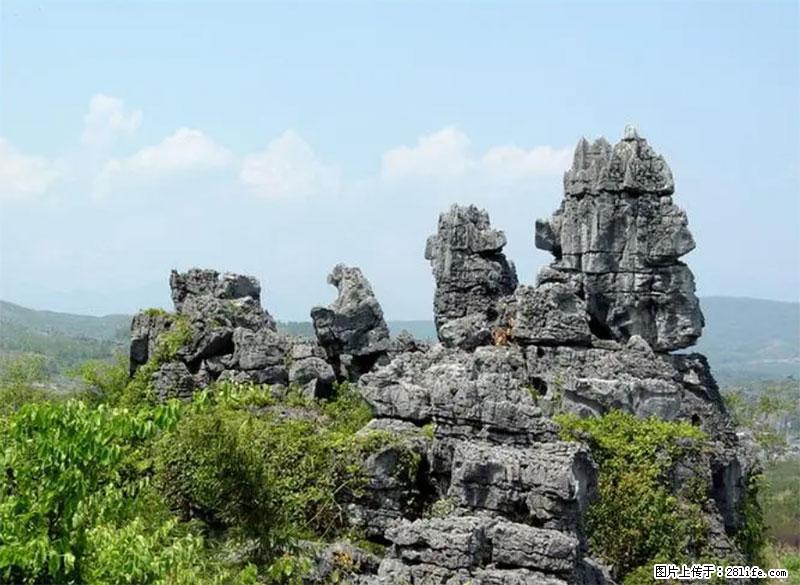 桂林旅游名城景点：灌阳文市石林 - 游山玩水 - 西安生活社区 - 西安28生活网 xa.28life.net