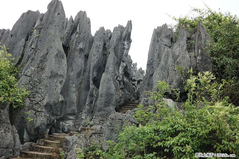 桂林旅游名城景点：灌阳文市石林 - 游山玩水 - 西安生活社区 - 西安28生活网 xa.28life.net
