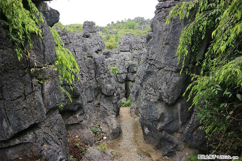 桂林旅游名城景点：灌阳文市石林 - 游山玩水 - 西安生活社区 - 西安28生活网 xa.28life.net