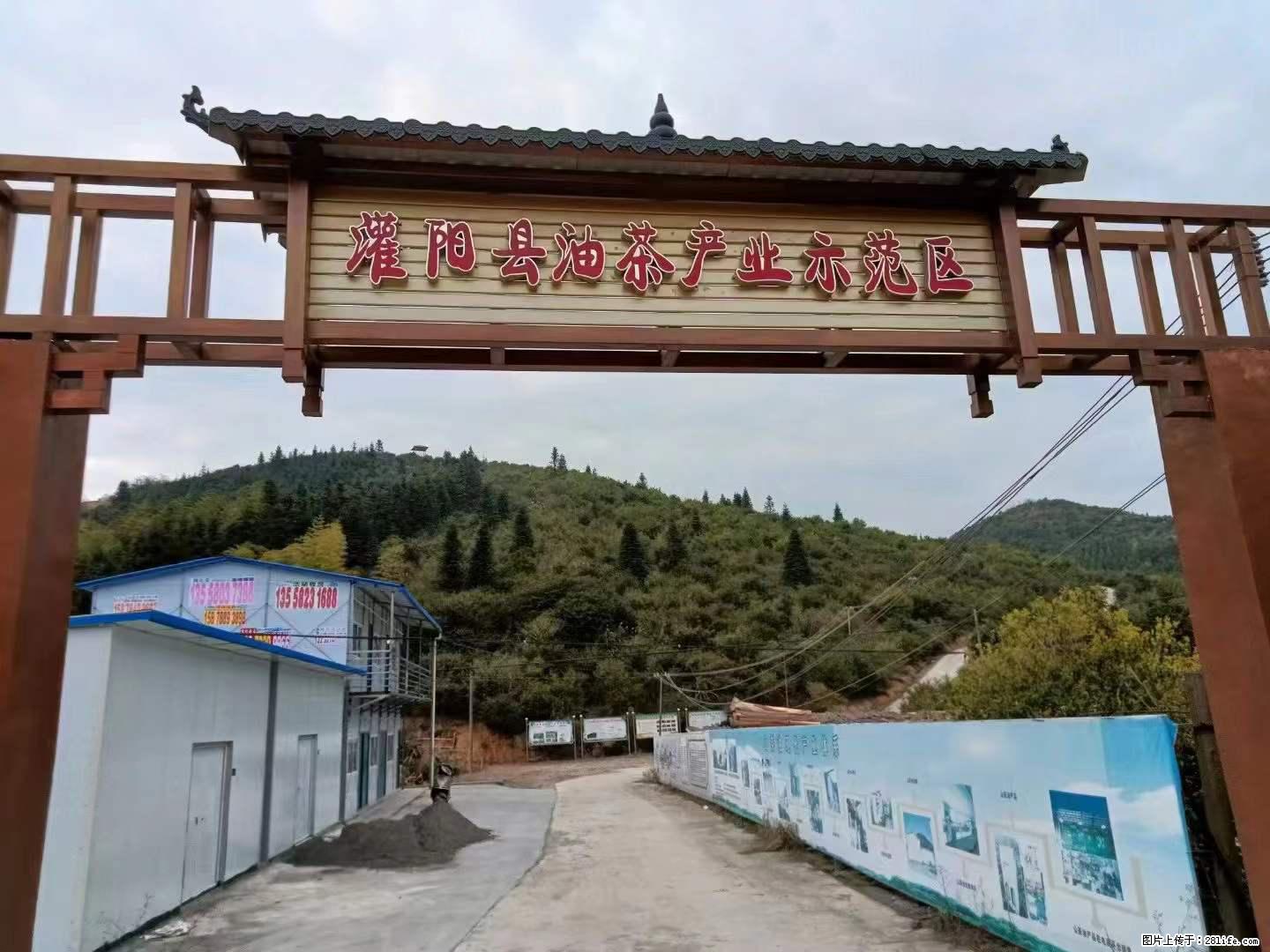 【灌阳县油茶产业示范区】一个有着充实的精神生活的人，对待身外之物自会有一种淡泊的态度 - 土特产 - 饮食特产 - 西安分类信息 - 西安28生活网 xa.28life.net