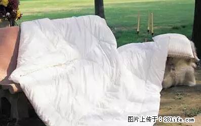 被子有异味？只要这样做，比晒太阳还强100倍！ - 家居生活 - 西安生活社区 - 西安28生活网 xa.28life.net