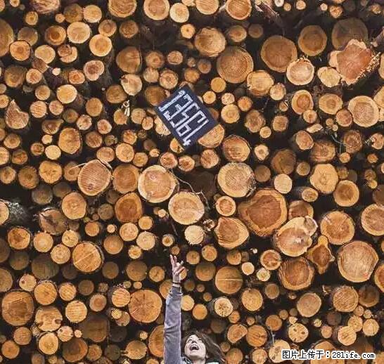 辞掉工作周游世界？现在他们在洗厕所…… - 游山玩水 - 西安生活社区 - 西安28生活网 xa.28life.net
