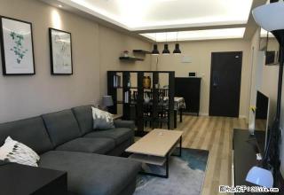 电视塔奥城大厦 精品一室 店长主推房源 条件配套完善 地铁口 - 西安28生活网 xa.28life.net