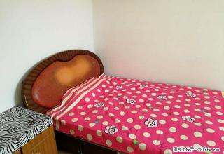 (单间出租)交大西门 南郭门 建东街 太乙路乐居场A2小区主卧600/月 - 西安28生活网 xa.28life.net