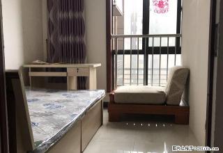 (单间出租)新西蓝二期 高新区 高新四路 科技路 大都荟世纪颐园年底特惠 - 西安28生活网 xa.28life.net