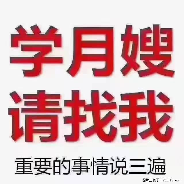 【招聘】月嫂，上海徐汇区 - 职场交流 - 西安生活社区 - 西安28生活网 xa.28life.net