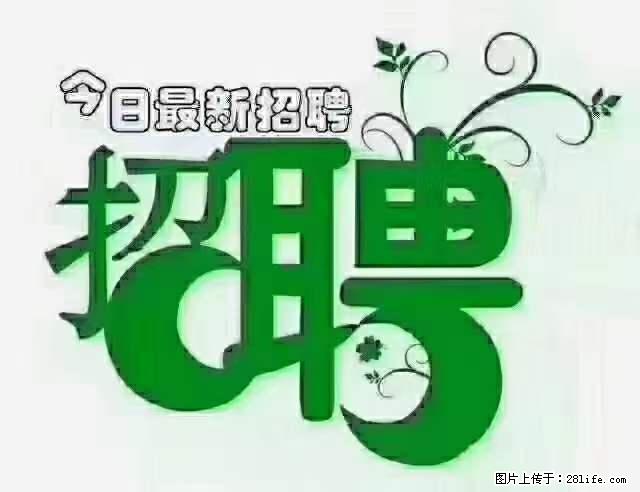 上海隔离酒店招人：55岁以下 男女不限 - 职场交流 - 西安生活社区 - 西安28生活网 xa.28life.net