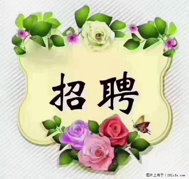 【招聘】住家育儿嫂，上户日期：4月4日，工作地址：上海 黄浦区 - 职场交流 - 西安生活社区 - 西安28生活网 xa.28life.net