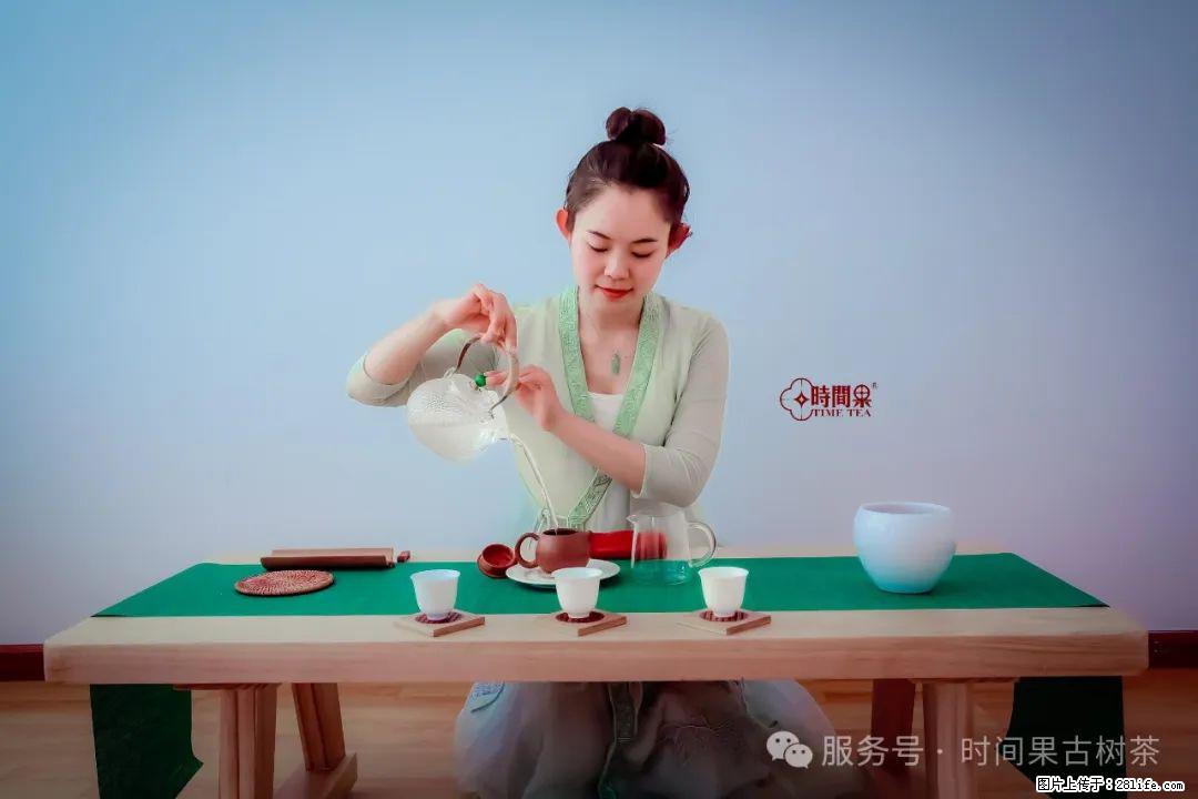 时间果百年古树龙珠普洱生茶 - 购物交流 - 西安生活社区 - 西安28生活网 xa.28life.net