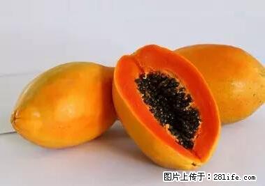 晕车、脚气、牙齿变黄、皮肤粗糙？学会这些三分钟搞定！ - 西安生活资讯 - 西安28生活网 xa.28life.net