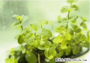 晕车、脚气、牙齿变黄、皮肤粗糙？学会这些三分钟搞定！ - 西安生活资讯 - 西安28生活网 xa.28life.net