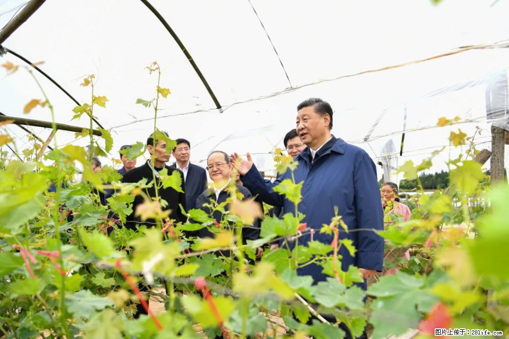 习近平赴广西考察调研 - 西安生活资讯 - 西安28生活网 xa.28life.net