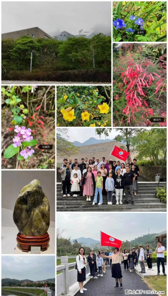 “粤灌文化 美好生活”油茶文化主题活动在广东深圳成功举办 - 西安生活资讯 - 西安28生活网 xa.28life.net
