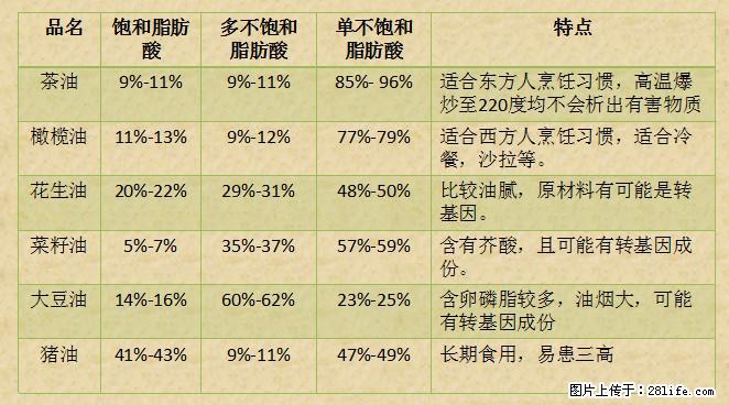 揭秘茶油的5大核心营养成分！被称为人体健康的“守护盾”！ - 西安生活资讯 - 西安28生活网 xa.28life.net