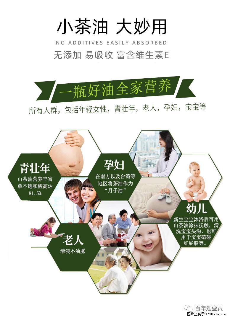 世界没有真相，只有认知，最好的食用油是中国的山茶油！ - 西安生活资讯 - 西安28生活网 xa.28life.net