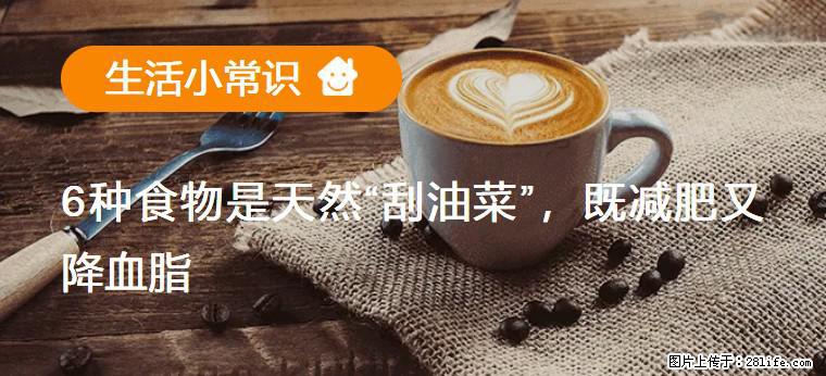 【生活小常识】6种食物是天然“刮油菜”，既减肥又降血脂 - 西安生活资讯 - 西安28生活网 xa.28life.net