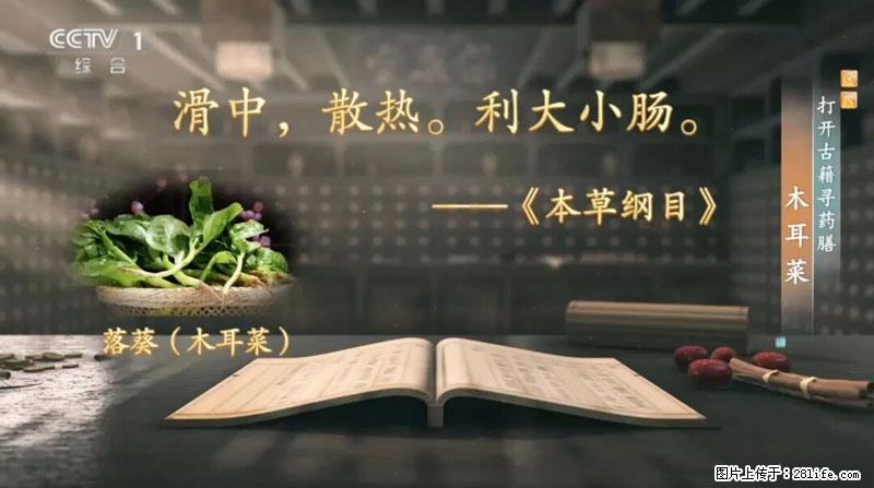 比牛奶补钙还厉害！凉血解毒、稳血糖...这菜冬天必吃，很多人却当草 - 西安生活资讯 - 西安28生活网 xa.28life.net