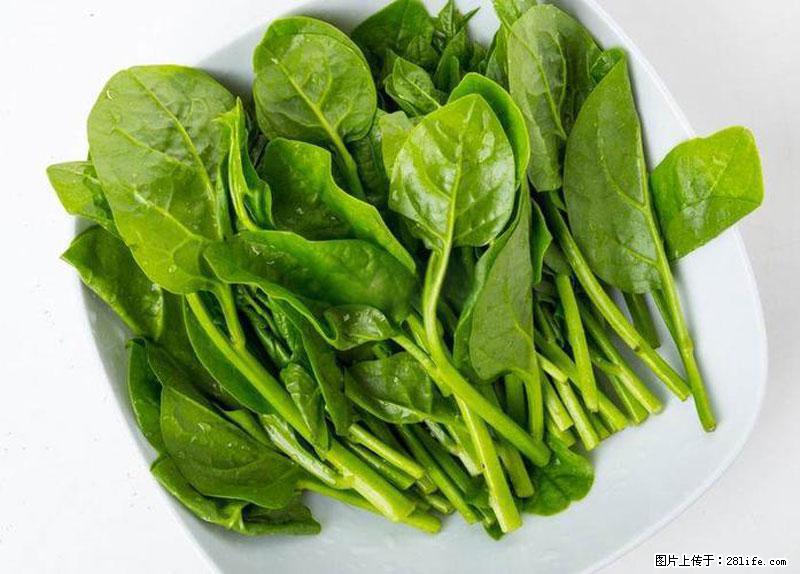 这些蔬菜是“天然钙片”，这6种被医生重点推荐 - 西安生活资讯 - 西安28生活网 xa.28life.net