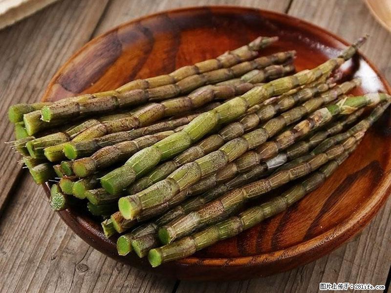 铁皮石斛的作用与功能主治 - 西安生活资讯 - 西安28生活网 xa.28life.net